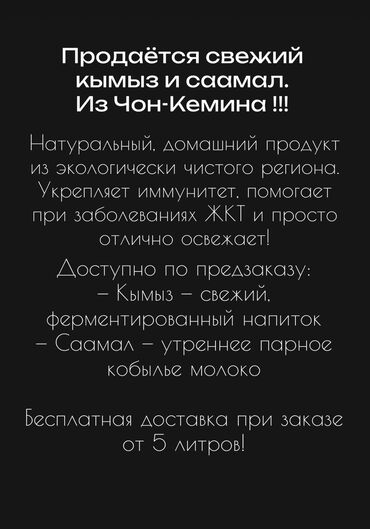 купить ослиное молоко: Кымыз Свежий кымыз и саамал из Чон-Кемина! Натуральный продукт