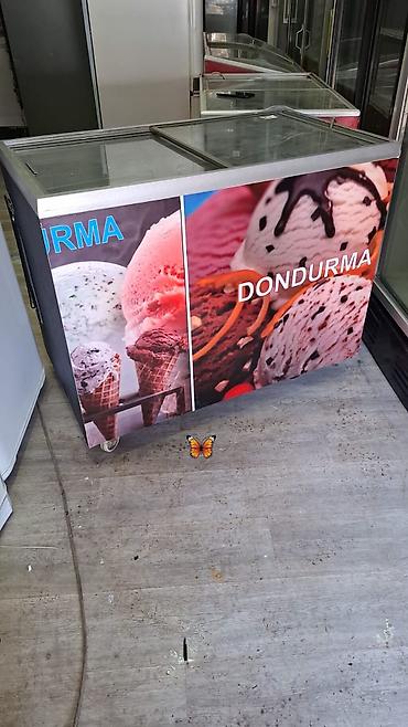 Soyuducu avadanlığı: SAMİRƏ kod ³⁰🦋 Dondurucu 1m 300 litr 400m Yazılı şəkildə zəmanət — 1