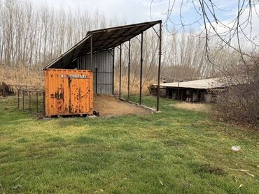 Куплю дом: Дом на отдельном участке с капитальным забором и откатными воротами — 22