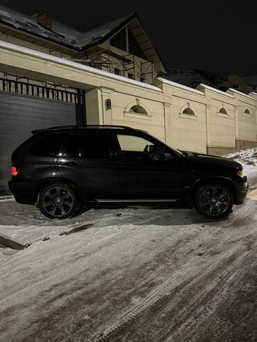 BMW: BMW X5: 2004 г., 4.8 л, Автомат, Бензин, Кроссовер — 12