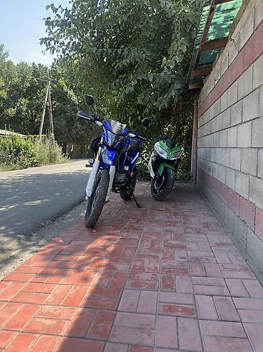 продажа мотоциклов в бишкеке: 🏍️ ** ПРОДАМ БАЙК!** есть обмен JELMAIA 300, тур-эндуро, 300 куб — 1