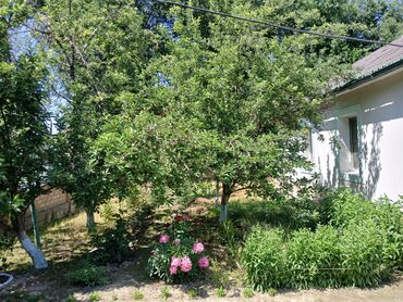 Продажа домов: Дом, 1700 м², 4 комнаты, Собственник, Дизайнерский ремонт — 11