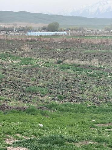 Продажа участков: 80 соток, Для сельского хозяйства — 13