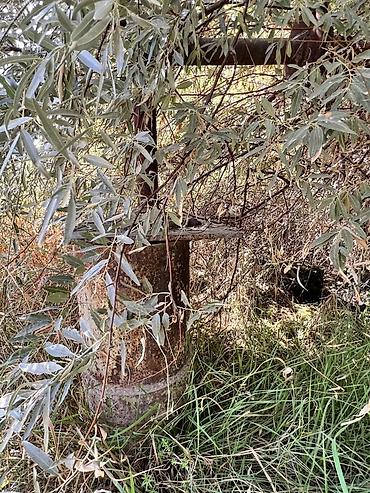 Продажа участков: 250 соток, Красная книга — 11