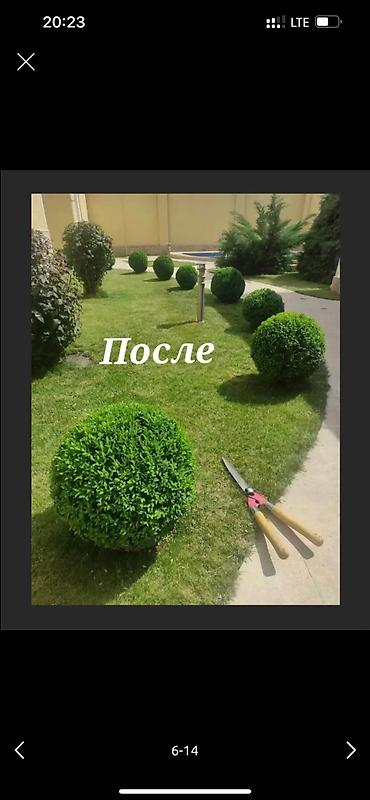 Дворники, садовники: 🌱Я Садовник приходящий раз в неделю Стрижка живой — 6