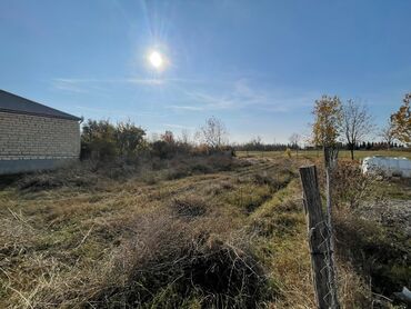 Torpaq sahələrinin satışı: Tikinti, Mülkiyyətçi, Kupça (Çıxarış) -da lalafo.az — 7 Torpaq sahələrinin satışı: Tikinti, Mülkiyyətçi, Kupça (Çıxarış) — 7
