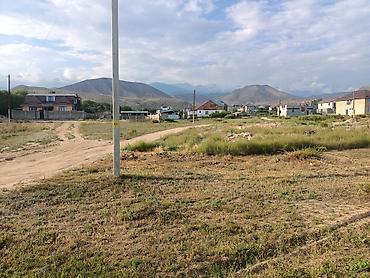 6 соток, Курулуш, Кызыл китеп — 4