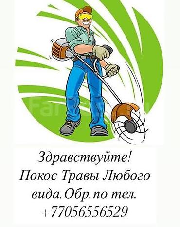 для травы: Уборка территории, Стрижка газона — 1