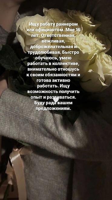 бишкек жумуш работа: Ищу работу в Бишкеке — 1
