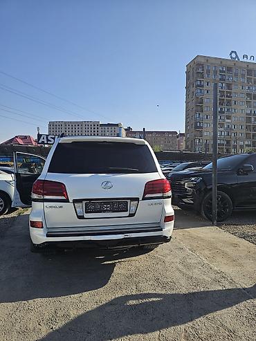 авто наклейка: Lexus LX: 2011 г., 5.7 л, Автомат, Бензин, Внедорожник — 2