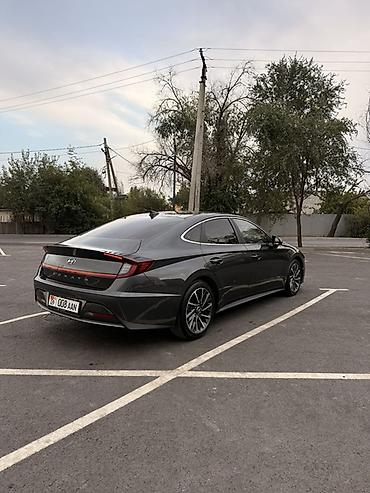 byd l: Hyundai Sonata: 2019 г., 2 л, Автомат, Бензин, Седан — 6