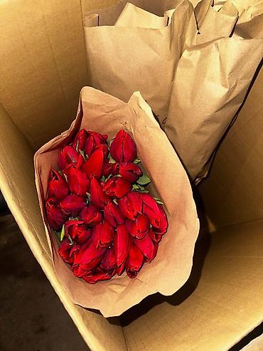 Другие садовые цветы и кустарники: В наличии Тюльпаны🌷💐 имеются в ярких и разных цветах . также есть — 12