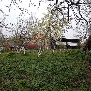 Torpaq sahələrinin satışı: Kənd təsərrüfatı — 16