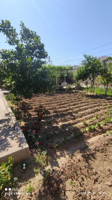 Həyət evləri və villaların satışı: 7 otaqlı, 250 kv. m — 6