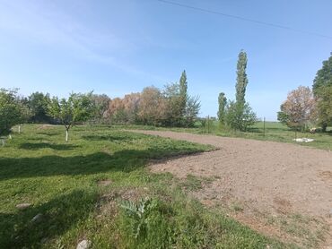 1 комнатные квартиры в бишкеке продажа: 5 соток, Айыл чарба үчүн