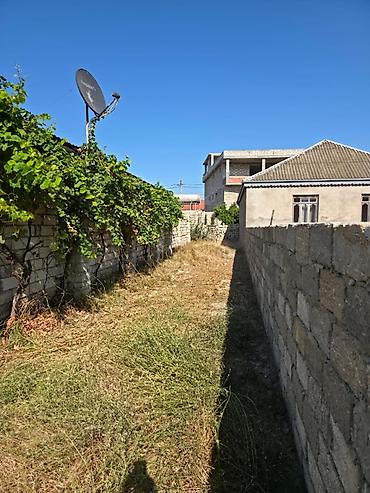 albali: 8 sot, Mülkiyyətçi, Kupça (Çıxarış) — 9