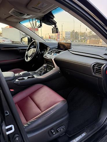 120 prado: Lexus NX: 2019 г., 2.5 л, Вариатор, Гибрид, Кроссовер — 6