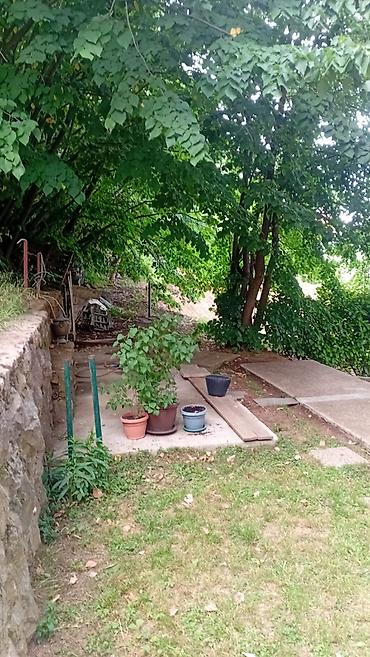 Kuće na prodaju: Avala, blizu megamarketa Koka Mar, 200 m2 Direktna prodaja od — 24
