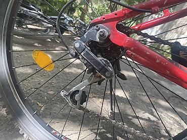 transporter multivan: Горный велосипед, Alton, Рама L (172 - 185 см), Сталь, Б/у — 1