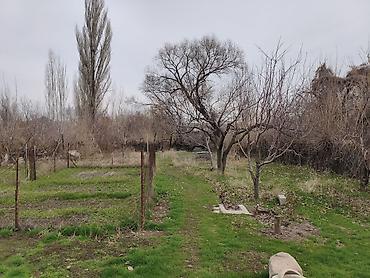 Продажа коттеджей и домов: Дом с участком на ул. Розы Люксембург, 22. - Одноэтажный жилой дом с — 6