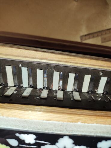 Akkordeonlar: Akustik Akkordeon, Yeni, Ödənişli çatdırılma — 6