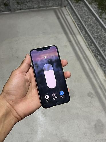 Apple iPhone: IPhone 12 Pro, Серебристый — 4