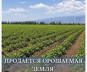 фермер: 10000 соток, Для сельского хозяйства — 1