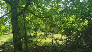 Torpaq sahələrinin satışı: Tikinti, Mülkiyyətçi, Kupça (Çıxarış) — 10