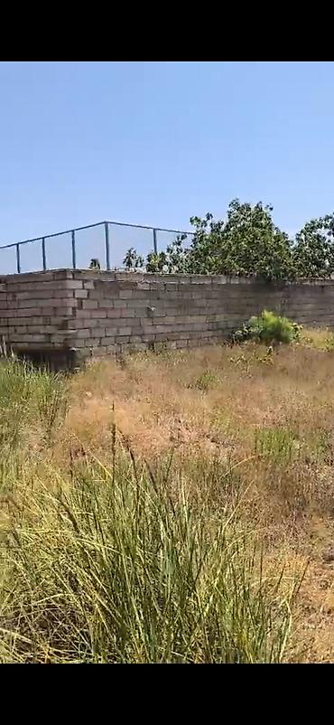 Готовый бизнес: Novxanı sariqaya ətrafı ərazilerde 18 sot torpağ tecili satışa — 1