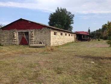 Bağ evlərinin satışı: Xudat, 80 kv. m, 8 otaq -da lalafo.az — 16 Bağ evlərinin satışı: Xudat, 80 kv. m, 8 otaq — 16