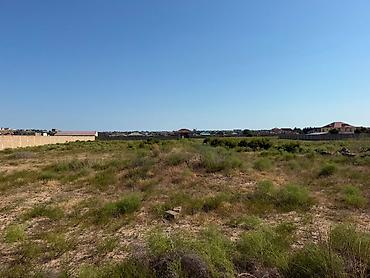 Torpaq: 66 sot, Tikinti, Kupça (Çıxarış) — 4