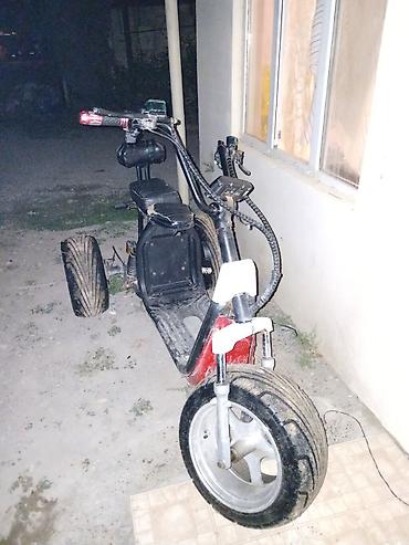 bmw 39 disk: Salam aleykum city coco mopedlr.barter olunur satllır tezeleri 2.3 min — 2