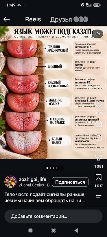 Арашан кочкорлор сатылат