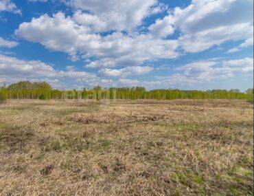 ивановка продажа домов: 5 соток, Для сельского хозяйства, Красная книга