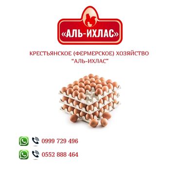 большой бачок: 🥚 Без посредников! Прямая продажа! Продаются свежие местные яйца в г