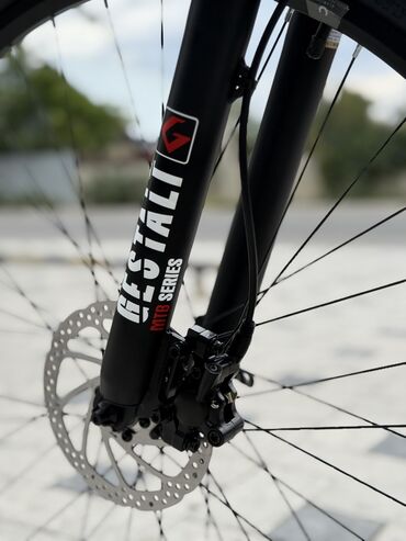 Городские велосипеды: Городской велосипед, Рама L (172 - 185 см), Новый — 5