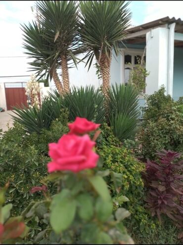 Həyət evləri və villaların satışı: 6 otaqlı, 150 kv. m, Kredit yoxdur, Orta təmir — 18