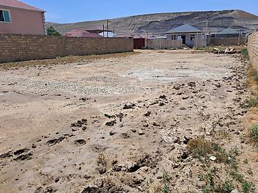 cıxarış nədir: 6000 sot, Tikinti, Mülkiyyətçi, Kupça (Çıxarış) — 2