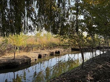 Продажа коттеджей и домов: 🔥 Отличный дом + фундамент под 2 дом + большой участок! Рядом с — 5