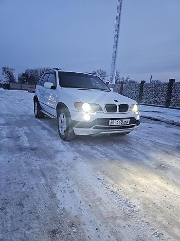 BMW: BMW X5: 2002 г., 4.4 л, Автомат, Бензин, Внедорожник — 8