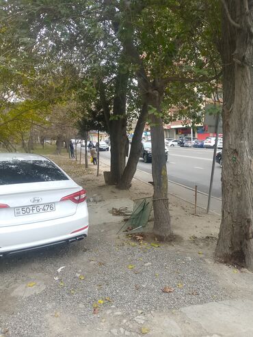 Ofislər: Salam İcarəyə verilir Məhəllələrin çıxışı Avtobus dayanacağı Mektebin -da lalafo.az — 9 Ofislər: Salam İcarəyə verilir Məhəllələrin çıxışı Avtobus dayanacağı Mektebin — 9