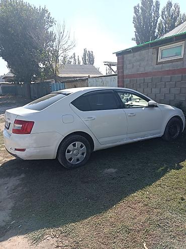 01: Skoda Octavia: 2014 г., 1.4 л, Механика, Бензин, Лифтбек — 6