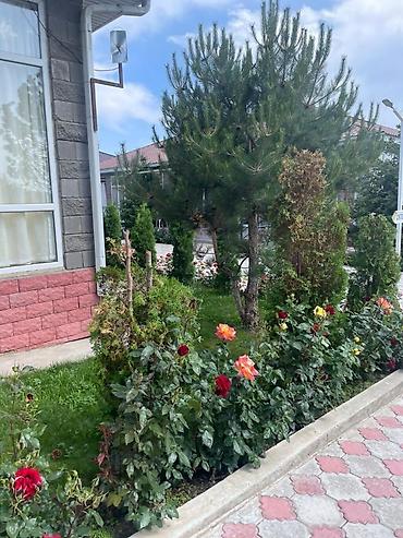 Иссык-Куль 2026: Коттедж, Париж-1 ЦО Париж, Чок-Тал, Детская площадка, Парковка, стоянка, Охраняемая территория — 16