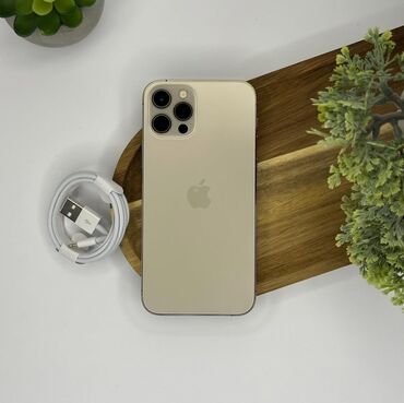 телефон fly bl6424: IPhone 12 Pro, 256 GB, Matte Gold, Zəmanət, Simsiz şarj, Face ID