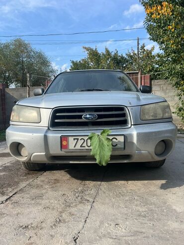 Subaru: Subaru Forester: 2003 г., 2.5 л, Типтроник, Бензин, Кроссовер