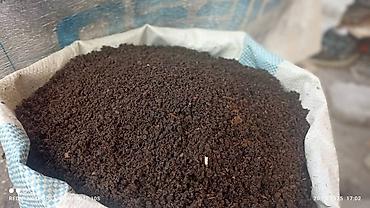 Удобрения и садовая химия: Удобрение Гумус, Самовывоз — 7