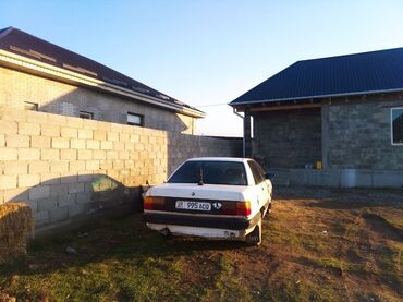 Audi: Audi 100: 1989 г., 1.8 л, Механика, Бензин, Седан