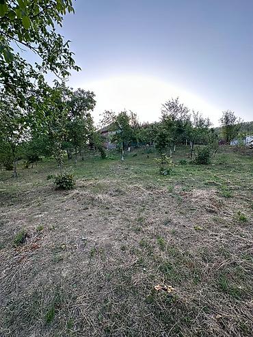 şabran torpaq satılır: 22 sot, Tikinti, Mülkiyyətçi, Kupça (Çıxarış) — 4