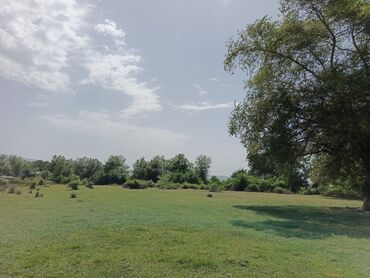 Torpaq sahələrinin satışı: 12 sot, Tikinti, Mülkiyyətçi, Kupça (Çıxarış) — 5