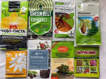 chekhol ot solntsa dlya avtomobilya: Семена удобрения препараты для укоренения и защиты от болезней